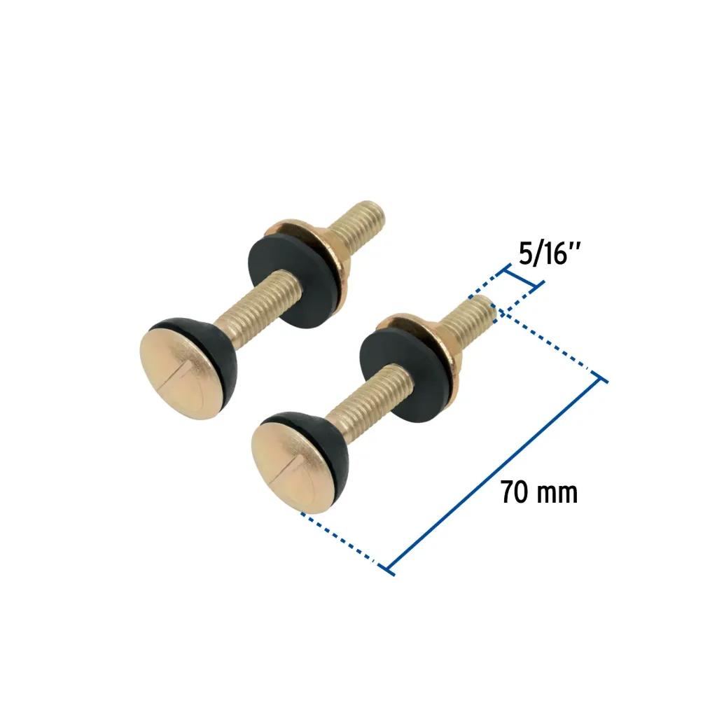 Bolsa con 2 tornillos 5/16' x 70 mm para tanque de WC a base, 